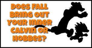 Does Fall Bring Out Your Inner Calvin or Hobbes?