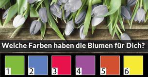 Welcher Valentinstags Blumenstrauss bist Du?