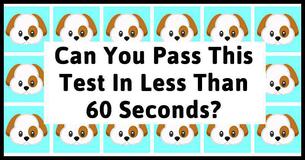 Only True Dog Lovers Can Pass This Visual Test