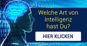 Welche Art von Intelligenz hast Du?