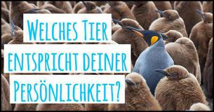 Welches Tier entspricht deiner Persönlichkeit?