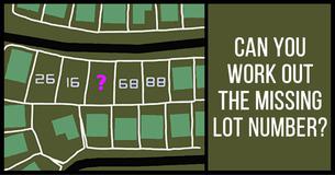 Can You Work Out The Missing Lot Number?