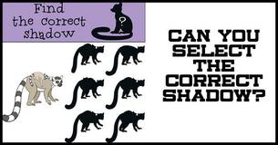 Tough Shadow Brainteaser #4: Can You Find The Correct Shadow?