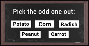 Can You Get A Perfect Score In This Unique IQ Exam?