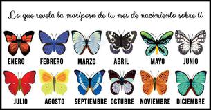 Descubre lo que revela la mariposa de tu mes de nacimiento