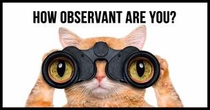 Test: Are You Attentive To Details?