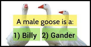 Only Americans With A PhD Passed This Animal Vocabulary Test. Can You?