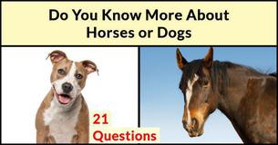 Do You Know More About Horses Or Dogs?