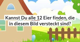 Kannst Du alle 12 Eier finden, die in diesem Bild versteckt sind?