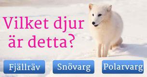 Endast en av 45 vuxna kan namnen på dessa vanliga djur, kan du dem?