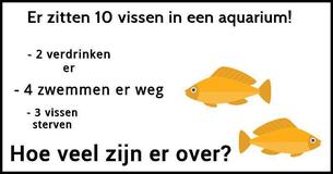 Kun jij in minder dan 60 seconden het rekenraadsel met de vissen oplossen?