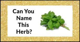 Only 5% Of Women Can Actually Identify The 13 Most Common Herbs