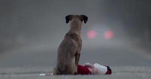 O presente - Um vídeo que vai sacudir seu coração
