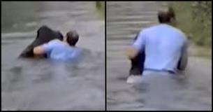 Zoo Staff Won't Save Drowning Chimp, So A Bystander Jumps Into The Enclosure 