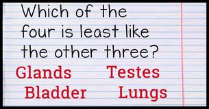 Try Acing The Trickiest IQ Test Ever