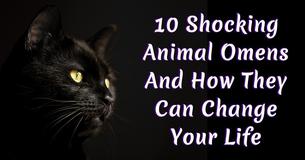 These 10 Shocking Animal Omens Could Positively Affect Your Life