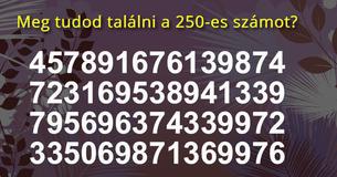 Meg tudod találni a 250-es számot?