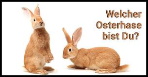 Welcher Osterhase bist Du? 