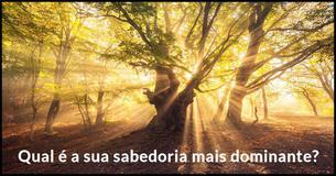 Qual é a Sua Sabedoria Dominante?