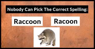 Nobody Can Score At Least 15/20 In This Confusing Spelling Drill