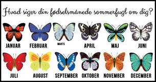 Find ud af hvad din fødselsmånede sommerfugl siger om dig