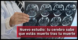 Un terrorífico estudio revela que nuestros cerebros siguen conscientes tras nuestra muerte