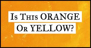 This Color Test Will Determine What Type Of Intelligence You Have