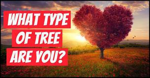 What Type of Tree Best Describes Your Real Personality?