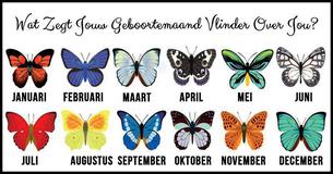 Ontdek Wat Jouw Geboortemaand Vlinder Zegt Over Jou