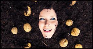 What Kind Of Potato Are You?