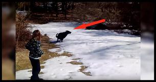 Family Takes Black Lab Out In Snow, Burst Out Laughing When They See His Hilarious New Hobby