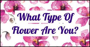 What Type of Flower Are You?