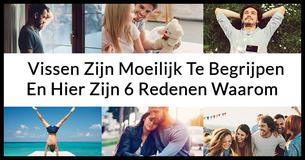 Vissen Zijn Moeilijk Te Begrijpen En Hier Zijn 6 Redenen Waarom 
