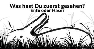 Ist Dein Gehirn einfach zu verwirren?
