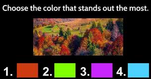 See Your Personality Based On This Amazing Color Quiz