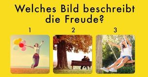 Welches Bild beschreibt Freude?