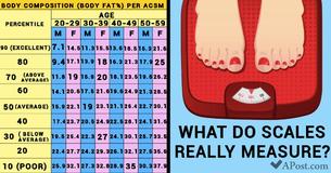 11 Things You Need to Know Before Stepping On That Scale