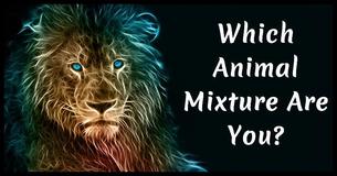 Which Animal Mixture Are You?