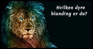 Hvilken blanding af dyr er du?