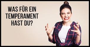 Welcher Temperament Typ bist Du?