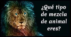 ¿Qué mezcla de animales eres?