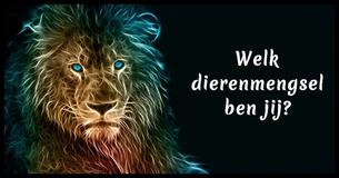 Welk dierencombinatie ben jij?