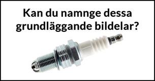 Endast 4 % av alla kvinnor kan svara på dessa frågor!