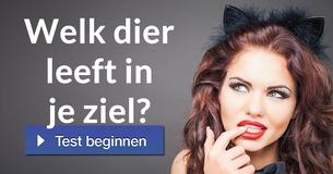 Welk dier leeft in je ziel?
