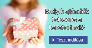 Melyik ajándék tetszene a barátodnak? 