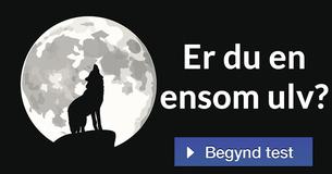 Er du en ensom ulv?