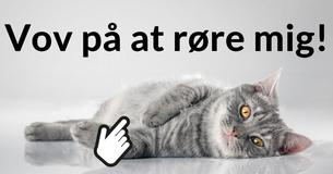 Ville du kunne tage dig af en kat?