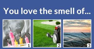 Are you Air, Water, Fire or Earth? 