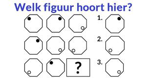 Hoor je bij de top 2% van intelligente mensen?