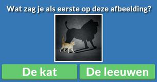 Wat heb jij als eerste gezien?